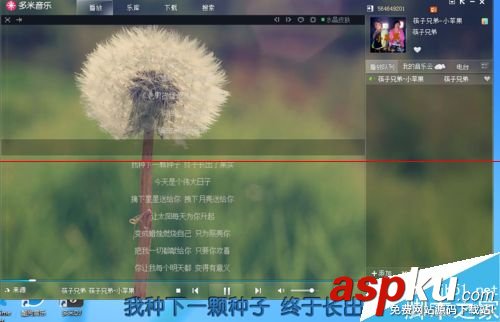 多米音樂(lè)怎么設(shè)置歌詞? 多米音樂(lè),歌詞