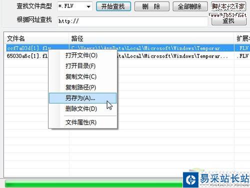臨時文件分類搜索 輕松淘盡IE緩存資源