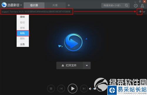 迅雷影音怎么看片?迅雷影音看片教程2