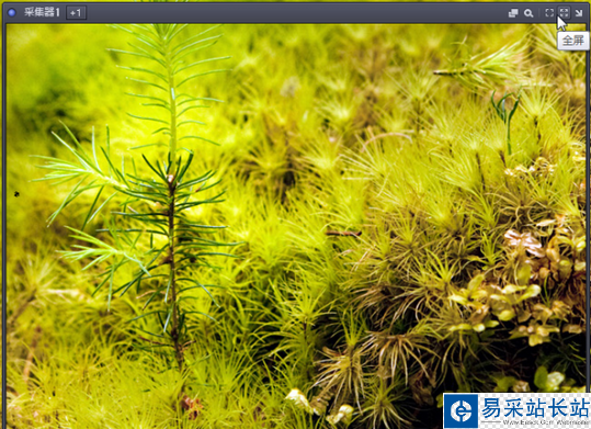 什么播放器能屏幕錄像