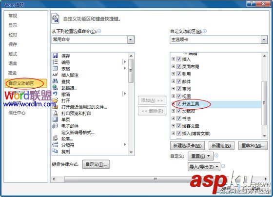 Office,開發(fā)工具