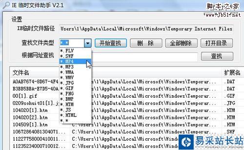 臨時文件分類搜索 輕松淘盡IE緩存資源