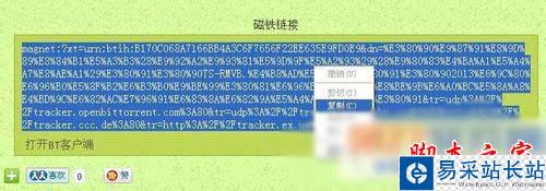 torrentkitty番號如何使用 torrentkitty番號使用教程