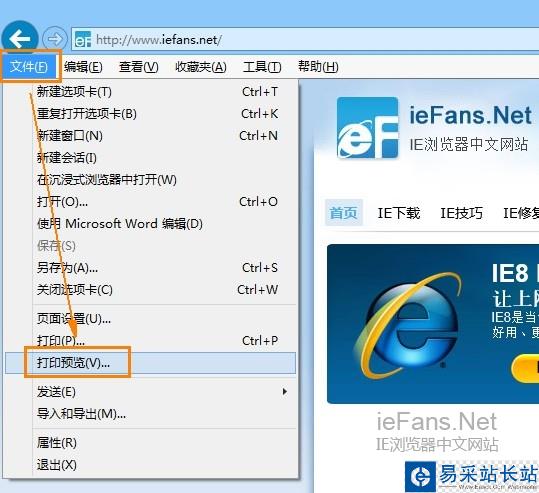 在菜單欄中打開打印預覽 在菜單欄中打開打印預覽