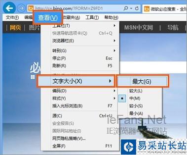設置IE瀏覽器中的文字大小