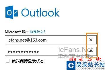禁用IE10密碼輸入框中的小眼睛功能