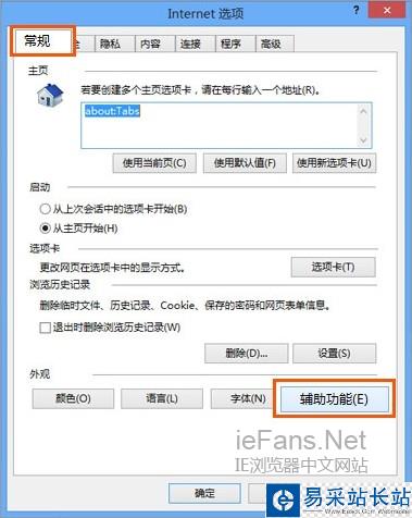 IE 輔助功能