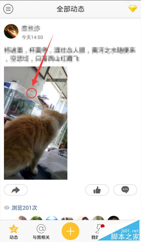 手機QQ空間評論涂鴉在哪里打開?評論涂鴉怎么用?