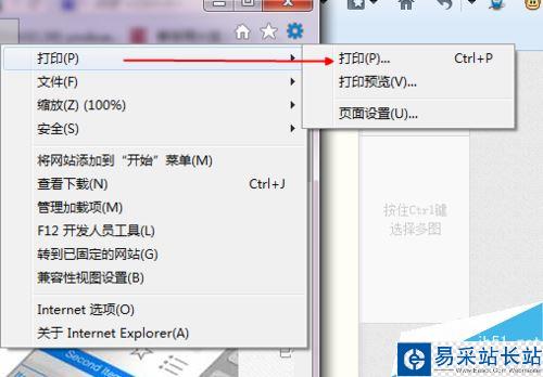 IE瀏覽器如何將網(wǎng)頁(yè)保存為pdf文檔?