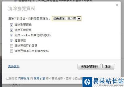 Opera 的瀏覽資料