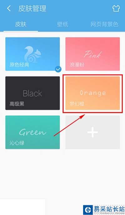 選擇其他皮膚