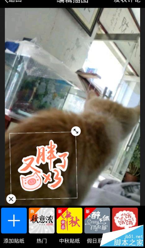 手機QQ空間評論涂鴉在哪里打開?評論涂鴉怎么用?