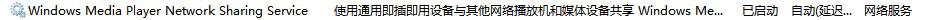 Server選項 Server選項