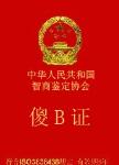 傻B證