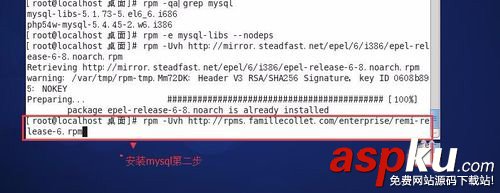 CentOS,MySQL安裝,yum