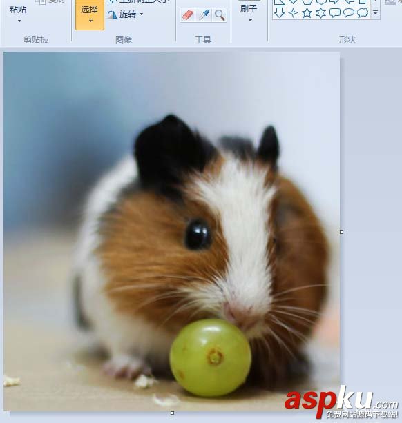 windows,畫圖工具,圖片