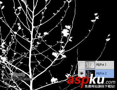 photoshop,通道,摳圖