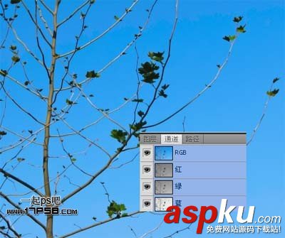 photoshop,通道,摳圖