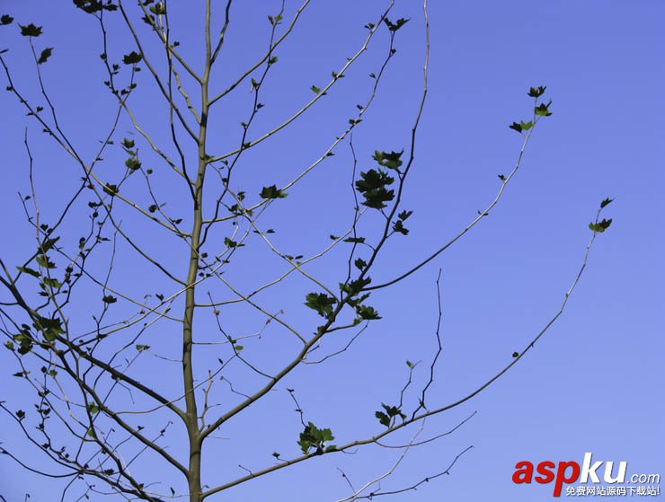 photoshop,通道,摳圖