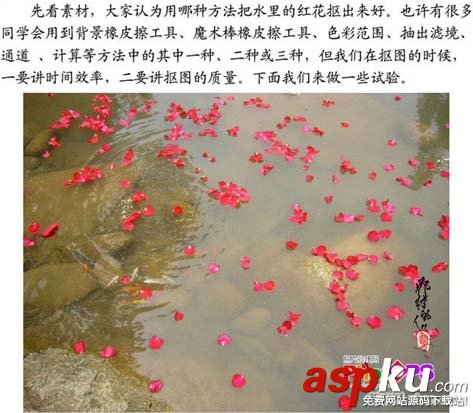 ps大師詳細講解紅花摳圖教程 ps摳圖教程,ps如何摳圖教程,ps怎么摳圖視頻教程