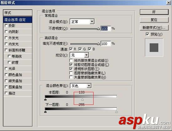 枝葉,樹木,摳圖