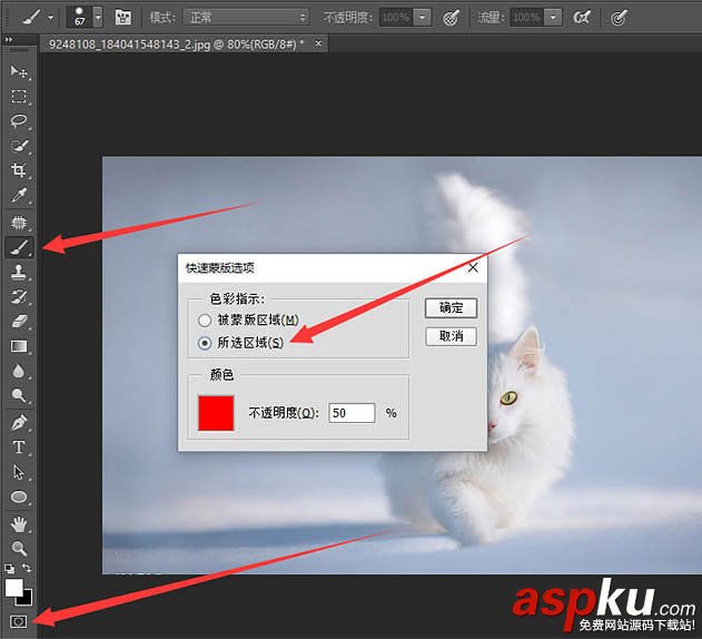 貓,快速蒙版,調整邊緣