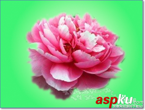 PS怎么用通道摳圖,ps通道摳圖方法