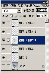 枝葉,樹木,摳圖