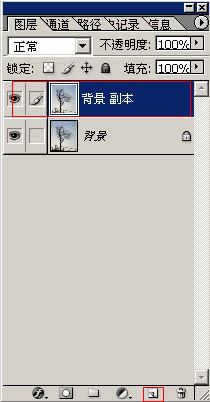 枝葉,樹木,摳圖
