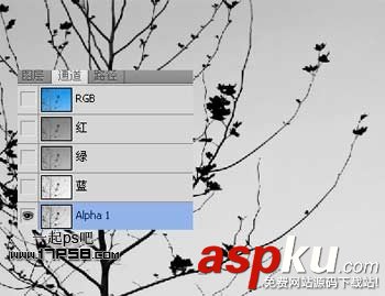 photoshop,通道,摳圖