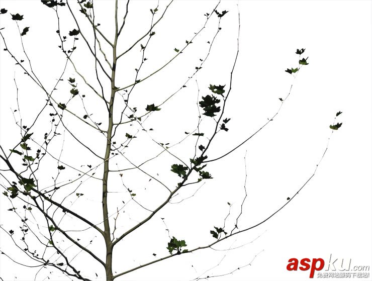 photoshop,通道,摳圖