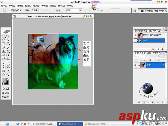 Photoshop摳圖教程,狗狗