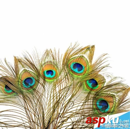 PS如何用背景摳圖呢? PS,背景,摳圖