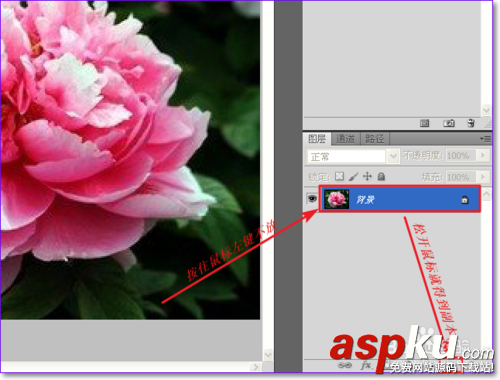 PS怎么用通道摳圖,ps通道摳圖方法