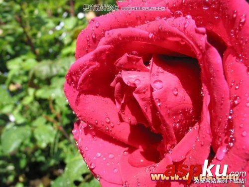 Photoshop摳圖教程:插件Mask pro 4.11摳圖使用介紹(圖文) Photoshop摳圖,Mask,pro,4.11,摳圖