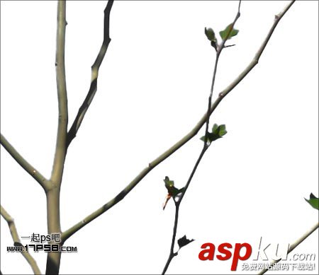 photoshop,通道,摳圖