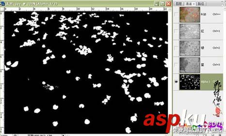 ps大師詳細講解紅花摳圖教程 ps摳圖教程,ps如何摳圖教程,ps怎么摳圖視頻教程