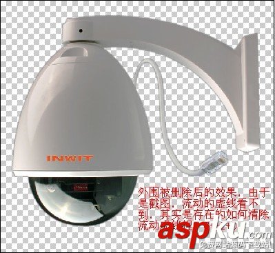 菜鳥(niǎo)必學(xué):如何利用PS中的鋼筆摳圖? PS,鋼筆摳圖