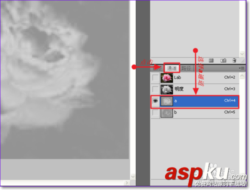 PS怎么用通道摳圖,ps通道摳圖方法