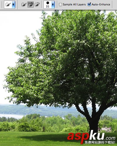 PS快速選擇工具摳圖 PS選擇工具五大摳圖技巧 PS,選擇工具,摳圖