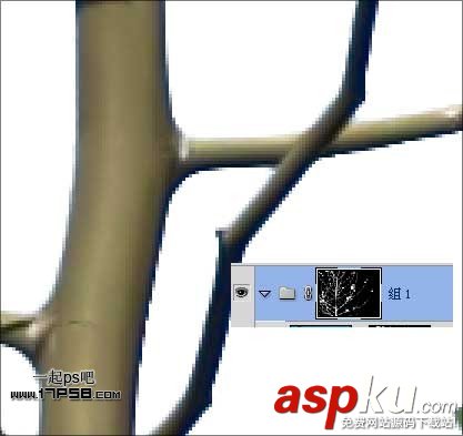 photoshop,通道,摳圖