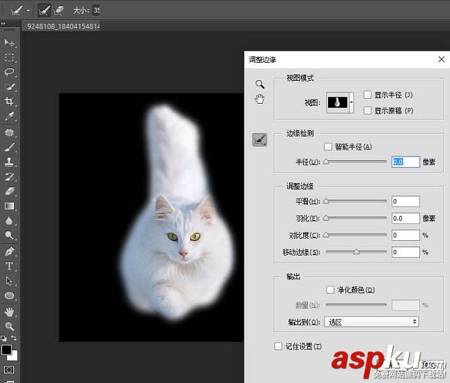 貓,快速蒙版,調整邊緣