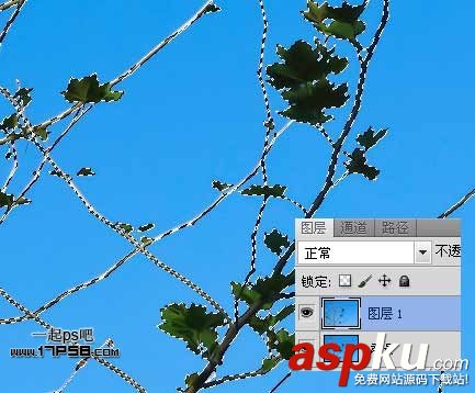 photoshop,通道,摳圖