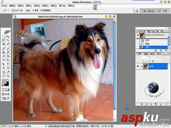 Photoshop摳圖教程,狗狗