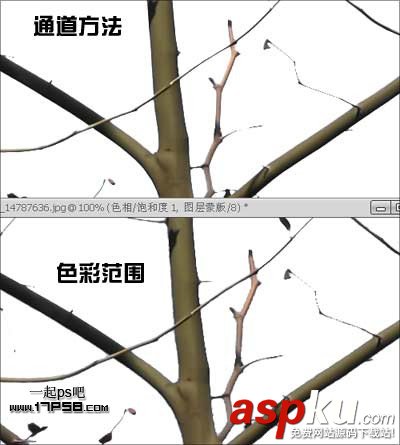 photoshop,通道,摳圖