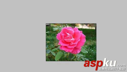 教你用PS刪除圖片背景實(shí)現(xiàn)快速摳圖 PS刪除圖片背景實(shí)現(xiàn)快速摳圖