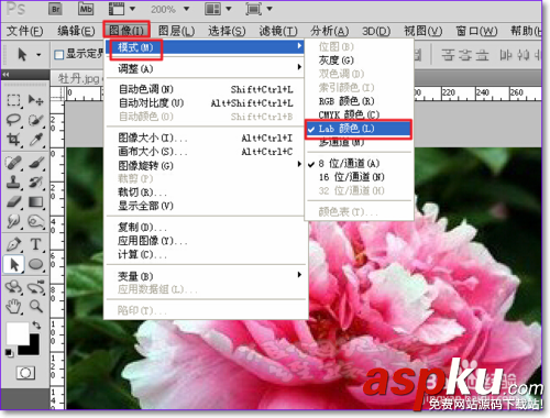 PS怎么用通道摳圖,ps通道摳圖方法