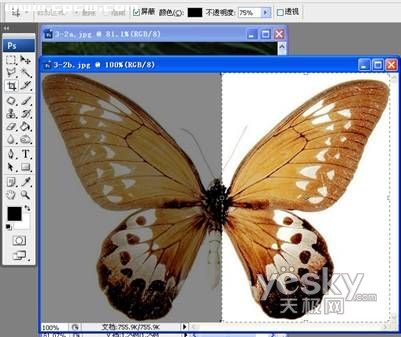 photoshop營造夢幻效果_神秘園中的精靈_網4頁教學網webjx.com整理轉載