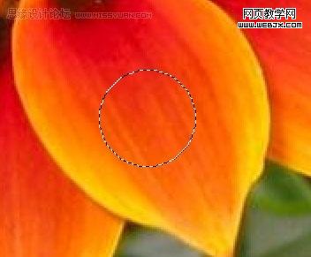 photoshop入門教程:繪制質(zhì)感水珠_網(wǎng)頁設(shè)計