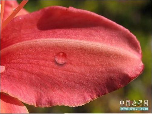 photoshop輕松繪制樹葉上的露珠_網(wǎng)頁設(shè)計webjx.com整理